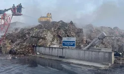 Kağıt fabrikası cayır cayır yandı