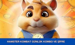 HAMSTER KOMBAT Günlük Şifre Yeni Günlük Kombo Kartları Daily 31 Temmuz 1 Ağustos