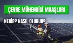 Çevre Mühendisi Maaşları 2024: Ne İş Yapar? Nasıl Olunur?