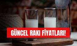 Rakı Fiyatları 2024: Zamlı Güncel Liste! Yeni Rakı, Beylerbeyi, Tekirdağ…