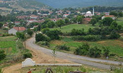 Tekirdağ'daki Elmalı Köyü efsanesi duyanları şaşırtıyor: 'Bu köyü almalı'