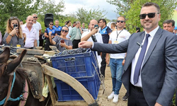 Şarköy Bağ Bozumu Şenliği büyük ilgi gördü