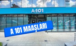 A101 Maaşları 2024: Kasiyer, Satış Danışmanı, Bölge Müdürü...