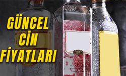 Cin Fiyatları 2024: Zamlı Fiyat Listesi! Gordon's Dry, Cin Adalin, Gilbey's…