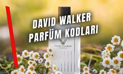 David Walker Parfüm Kodları: En Popüler Parfümlerin Muadillerinin Listesi!