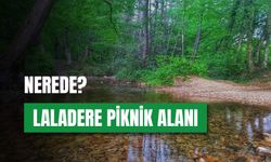 Tekirdağ'da Piknik Mevsimi! Laladere Piknik Alanı Nerede?