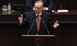 Erdoğan 'önemli adımlar atacağız' dedi: 5 suç kaydı olan...