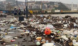 Karadeniz'deki plastik kirliliği: Araştırma sonuçları ve öneriler