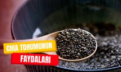 Süper Besin Olarak da Biliniyor! Chia Tohumunun Faydaları!