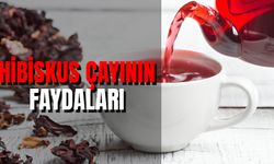 Dişil Enerjiyi Artırma Yollarından: Hibiskus Çayı Faydaları Nelerdir?