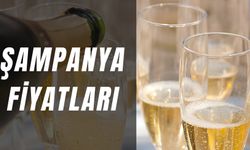 Şampanya Fiyatları: Güncel Zamlı Liste! Dom Perignon, Bottega…