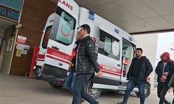 Bursa'da kesinleşmiş hapis cezaları bulunan 2 hükümlü yakalandı