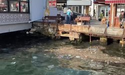 Beykoz'da denize atılan çöpler sahile vurdu