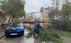 Kartal'da fırtına nedeniyle ağaç park halindeki aracın üzerine devrildi