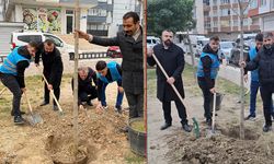 MHP Çerkezköy İlçe Teşkilatı, ağaç dikimi gerçekleştirdi