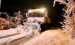 Sakarya'da kar yağışının etkili olduğu yüksek kesimlerde çalışma yapıldı