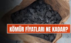 Kömür Fiyatları 2024-2025: Yeni Liste! 1 Ton Kömür Fiyatı Ne Kadar?