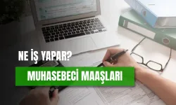 Muhasebeci Maaşları 2024: Özel Sektör – Devlette Güncel Maaş Bilgileri