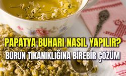 Burun Tıkanıklığına Kesin Çözüm! Papatya Buharı Nasıl Yapılır?