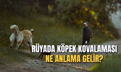 Rüyada Köpek Kovalaması Ne Anlama Gelir? Köpekten Kaçmak Neye İşaret?