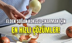 Soğan Kokusu Elden Nasıl Çıkar? En Etkili Koku Giderme Yolları!