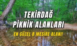 Tekirdağ Piknik Alanları: Doğayla İç İçe Piknik Yapabileceğiniz En Güzel Yerler!