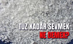 Birisini Tuz Kadar Sevmek Ne Demek? Anlamı ve Hikayesi…