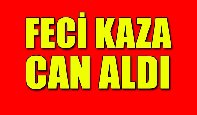 Feci kazada baba öldü, oğlu yaralandı