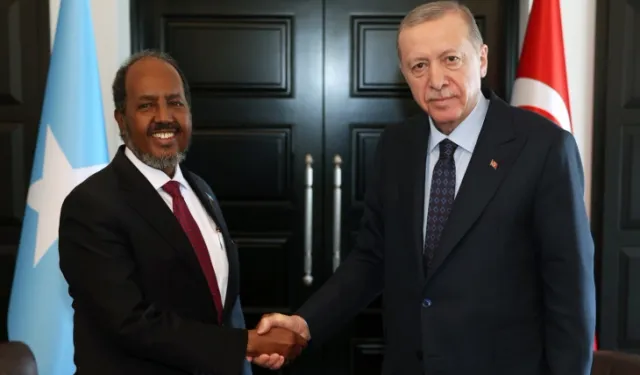 Cumhurbaşkanı Erdoğan Somalili Cumhurbaşkanıyla görüştü