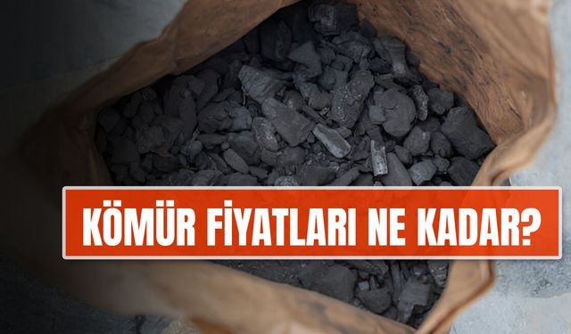 Kömür Fiyatları 2024-2025: Yeni Liste! 1 Ton Kömür Fiyatı Ne Kadar?