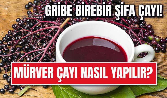 Bu Çay Gribi 1 Günde Geçiriyor! Mürver Çayı Nasıl Yapılır?