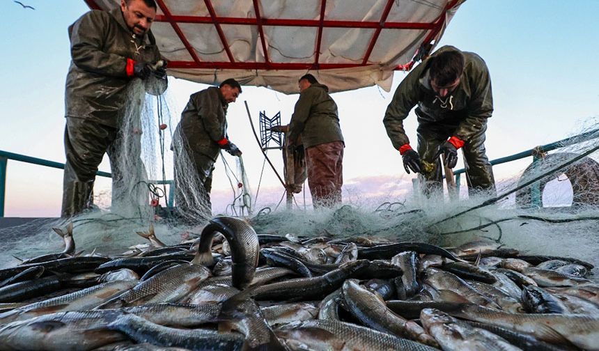 21 Kasım Dünya Balıkçılık Günü: Denizlerin geleceği için sürdürülebilir balıkçılık