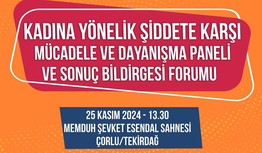 Kadına Yönelik Şiddete Karşı Mücadele ve Dayanışma Paneli düzenleniyor