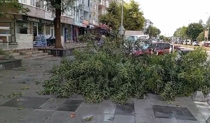 Irtına Ve Dolu Hayatı Olumsuz Etkiledi.-1