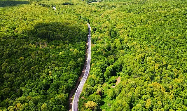 Sonbaharda En Guzel Trakya Rotalari Kırk