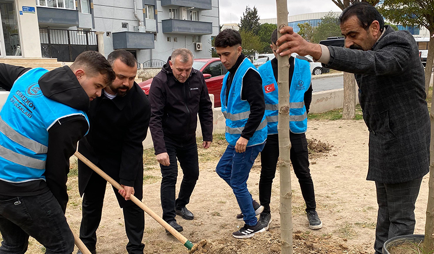 Mhp Çerkezköy İlçe Teşkilatı, Ağaç Dikimi Gerçekleştirdil