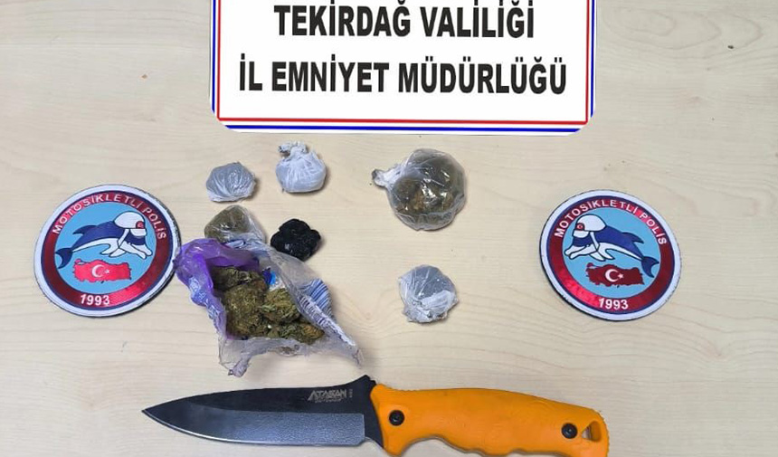 Yunuslardan Kaçış Yok3